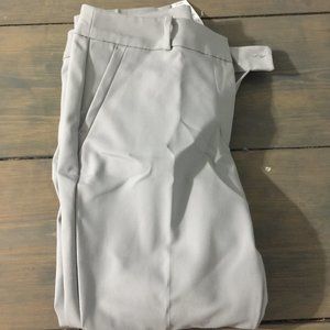 Loft Outlet 12P Silver Gray Curvy Skinny Ankle New